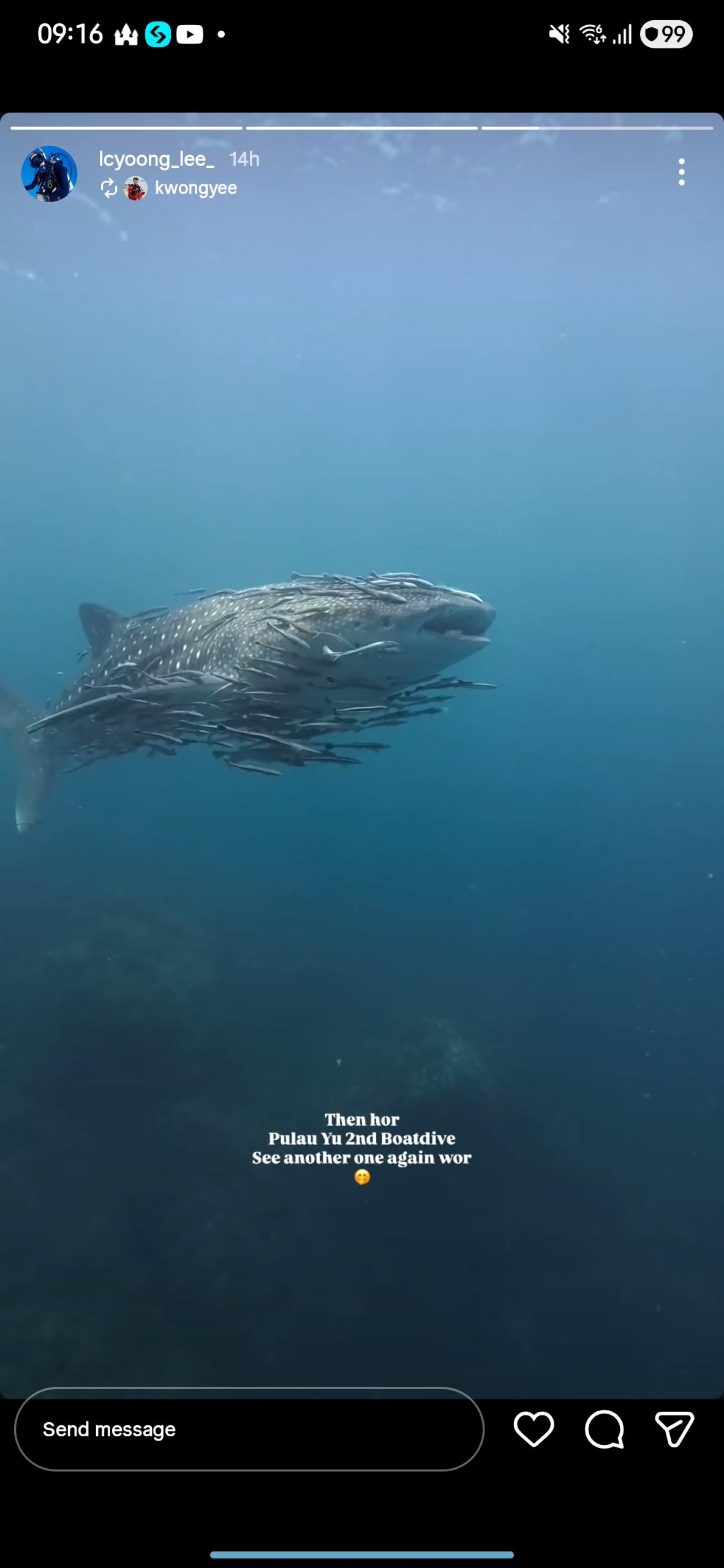 Whaleshark